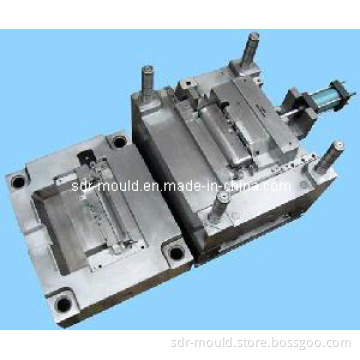 Plastic Injection Auto Parts Mold for Door Sheet